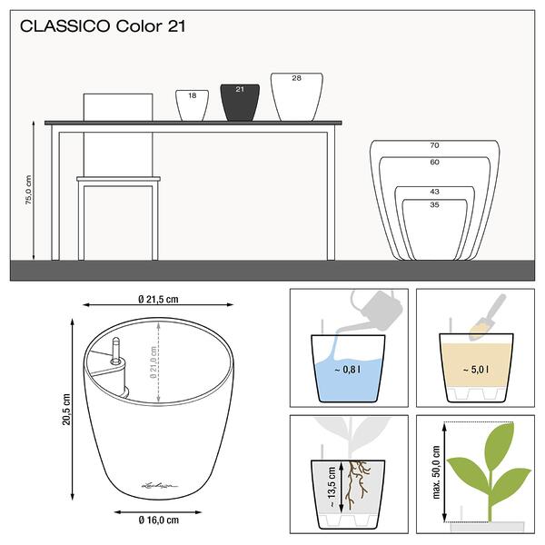LECHUZA CLASSICO Color