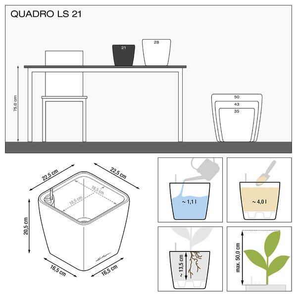 Сансевиерия Лайм в кашпо LECHUZA QUADRO LS 21